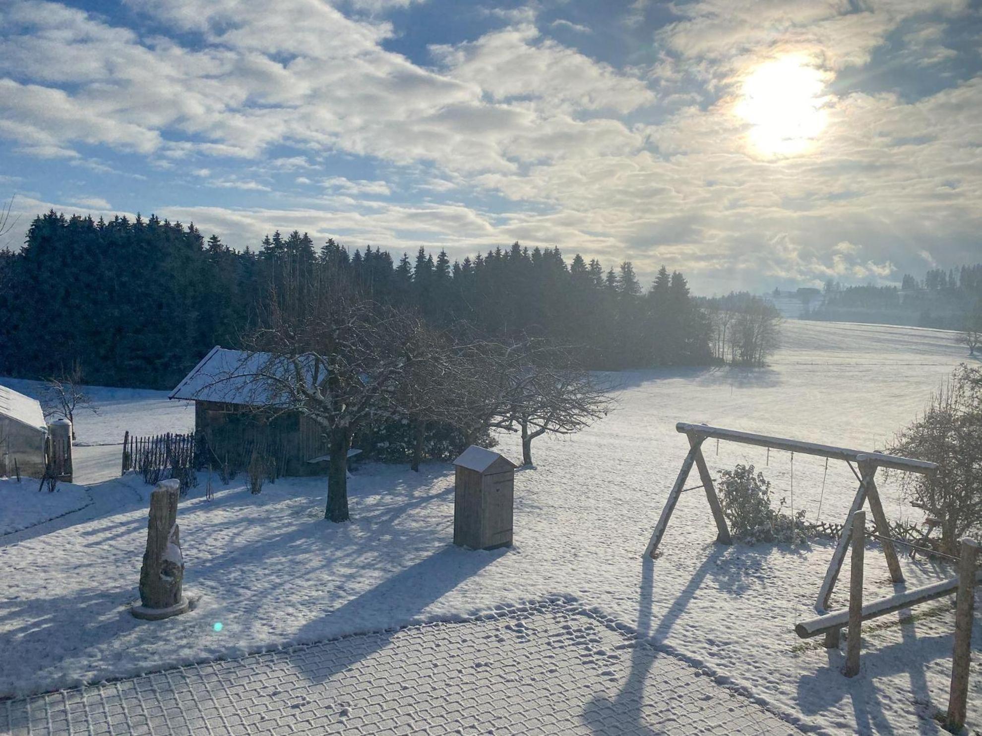 Trollenhof Im Allgaeu - Ferienwohnungen Saeuling Ruckholz Экстерьер фото