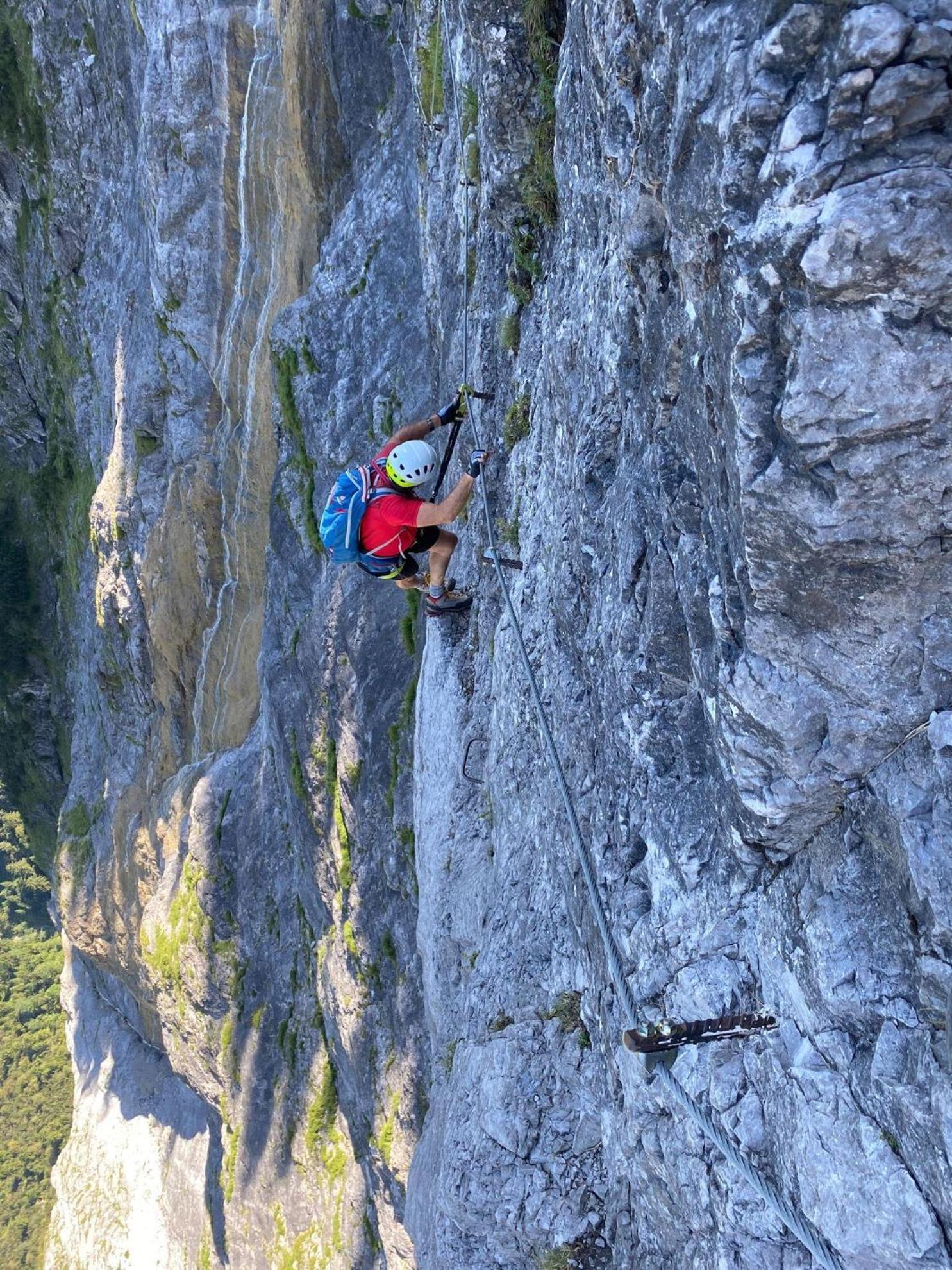 Trollenhof Im Allgaeu - Ferienwohnungen Saeuling Ruckholz Экстерьер фото